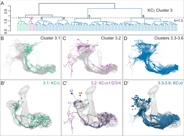 Figure 4—figure supplement 1.