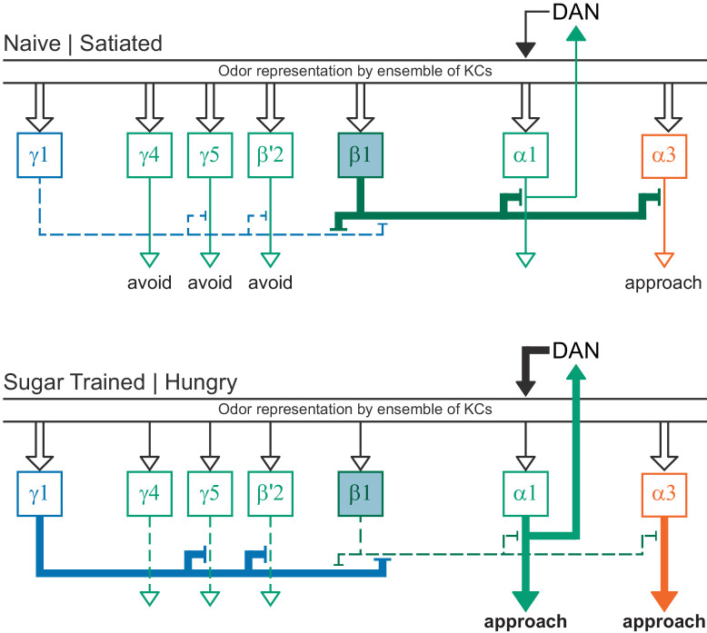 Figure 41.