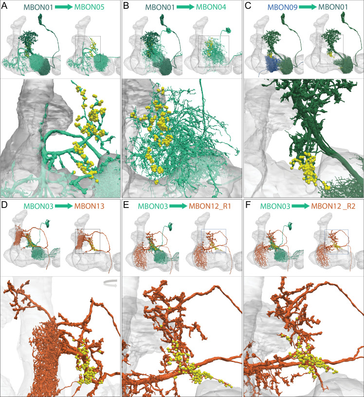 Figure 23—figure supplement 2.