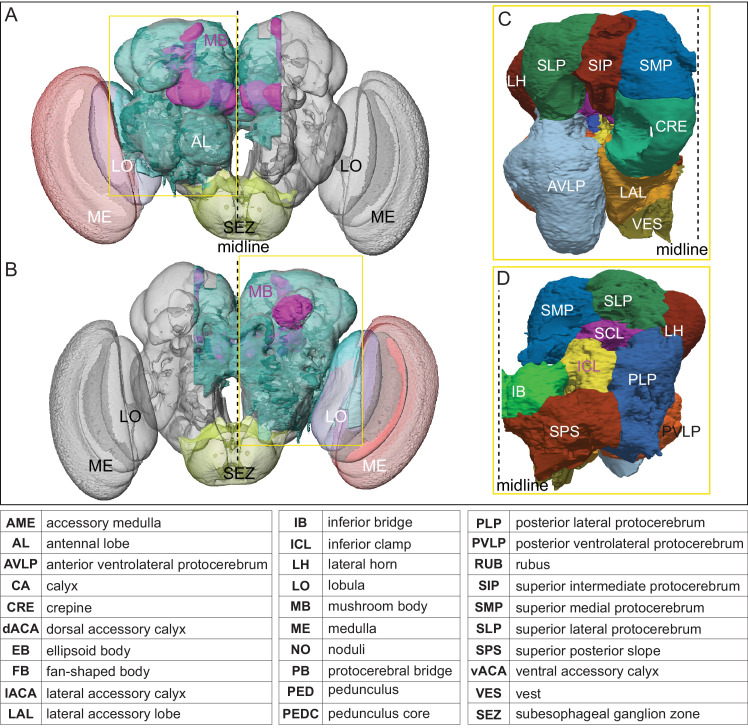 Figure 2—figure supplement 1.