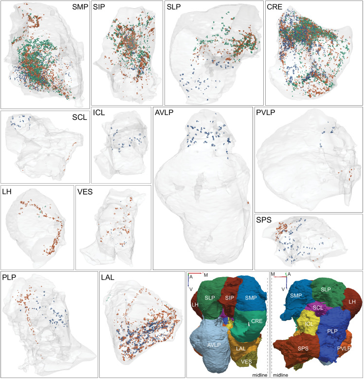 Figure 18—figure supplement 1.