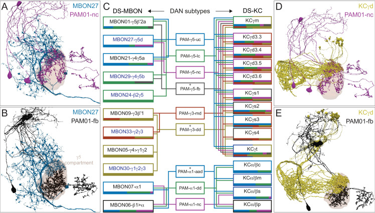 Figure 30.