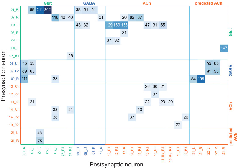 Figure 23—figure supplement 1.