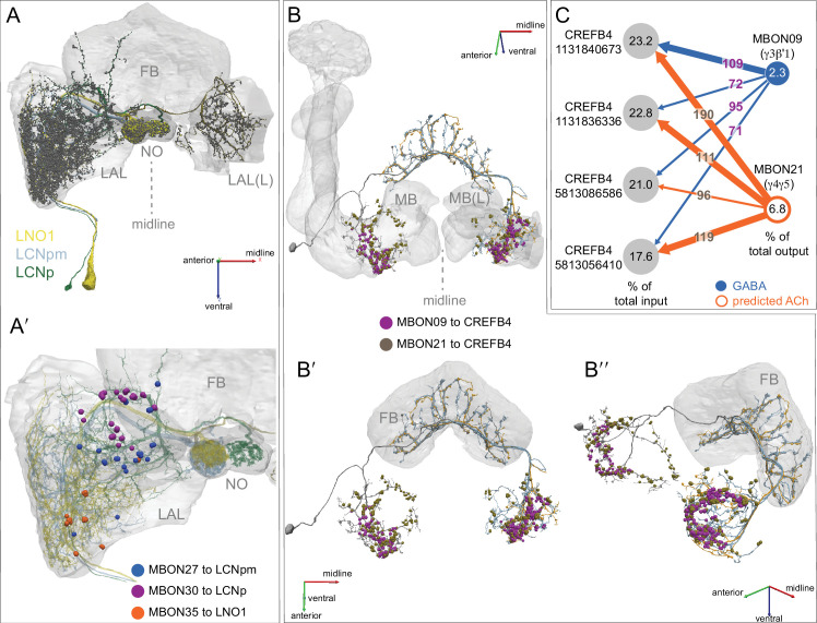 Figure 19—figure supplement 1.