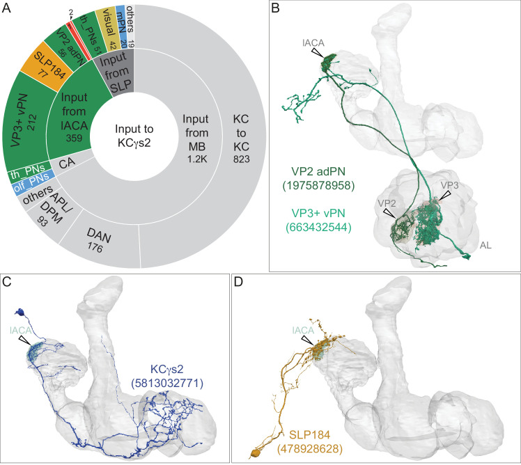 Figure 12—figure supplement 2.