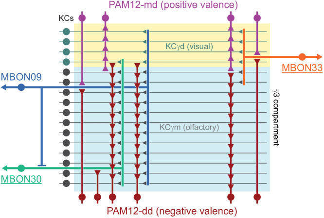 Figure 39.