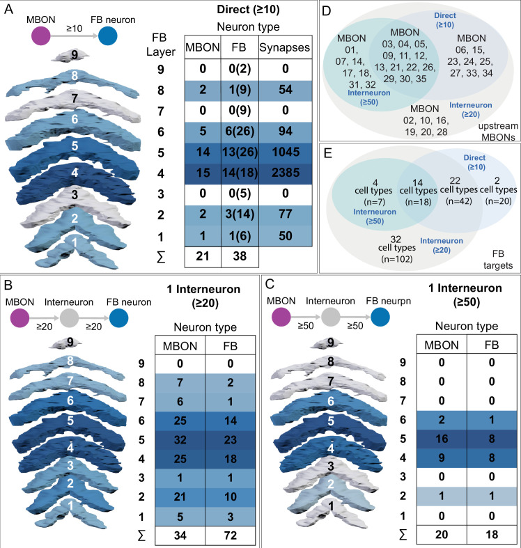 Figure 20.