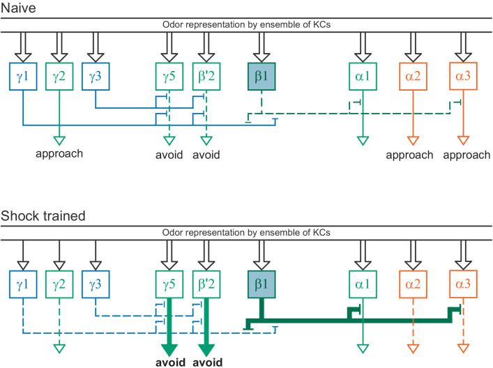 Figure 40.