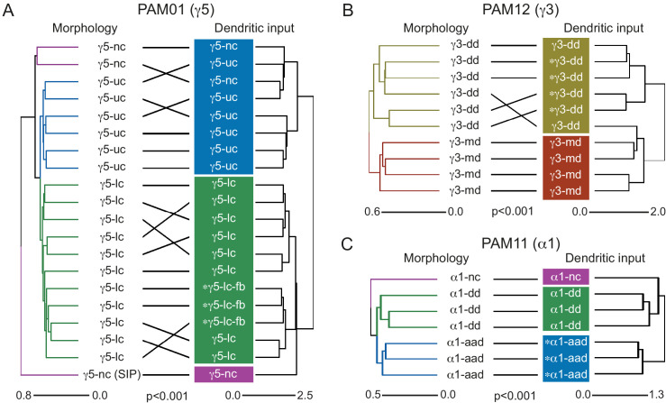 Figure 28.