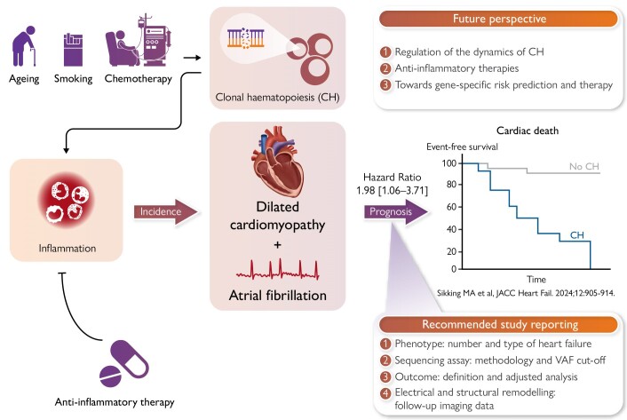 Graphical Abstract