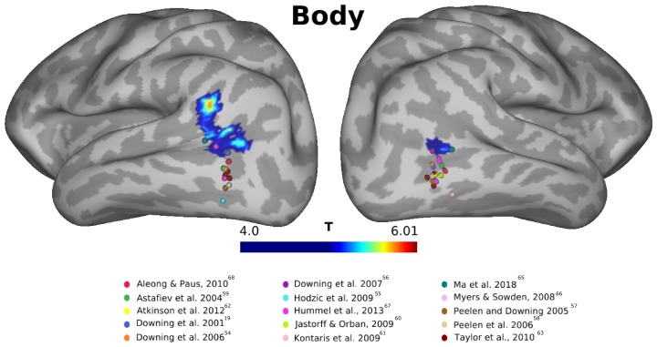 Figure 6—figure supplement 2.