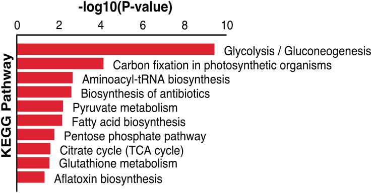 FIGURE 6