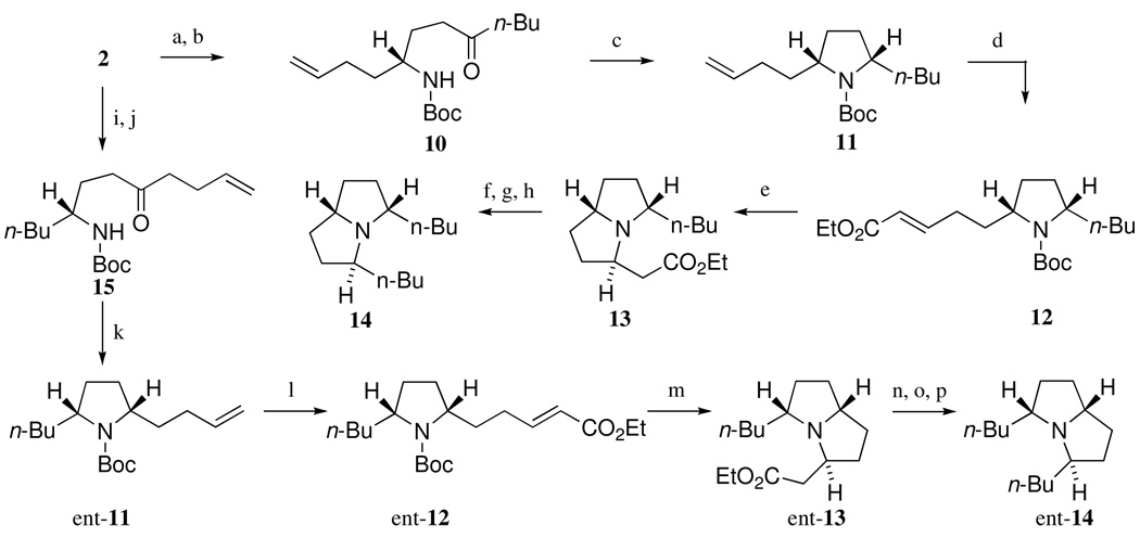 Scheme 3