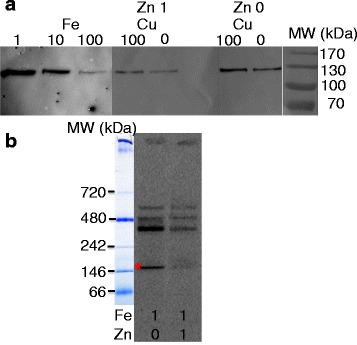 Fig. 5