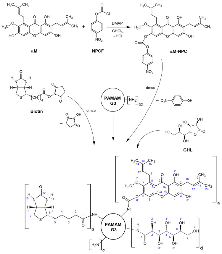 Scheme 1