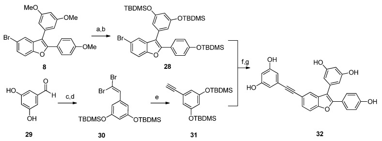 Scheme 5