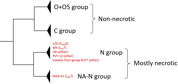 Fig 5