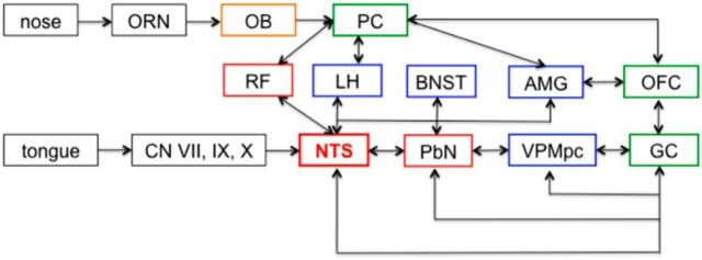 Figure 12.