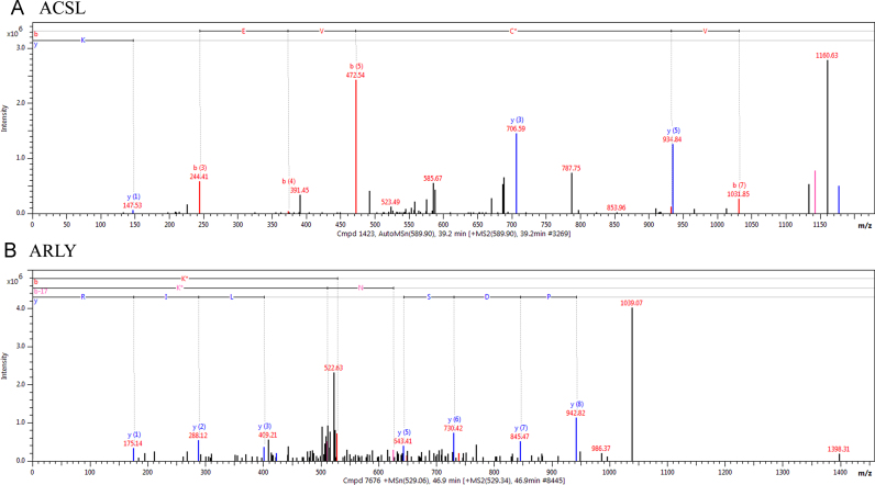 Fig. 6.