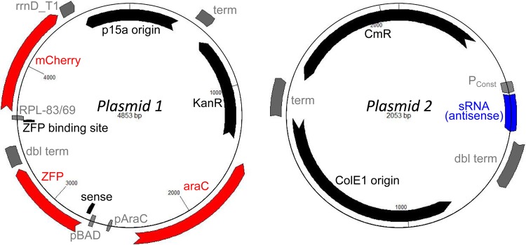 Fig 3