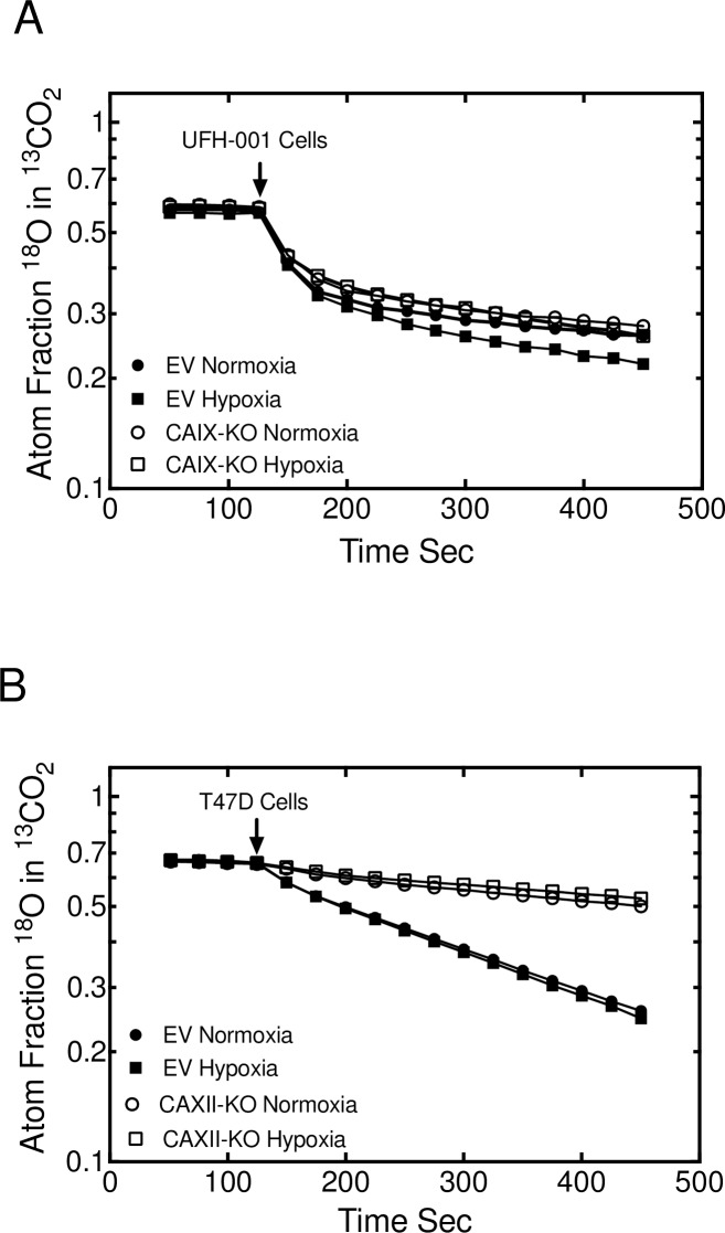 Fig 8