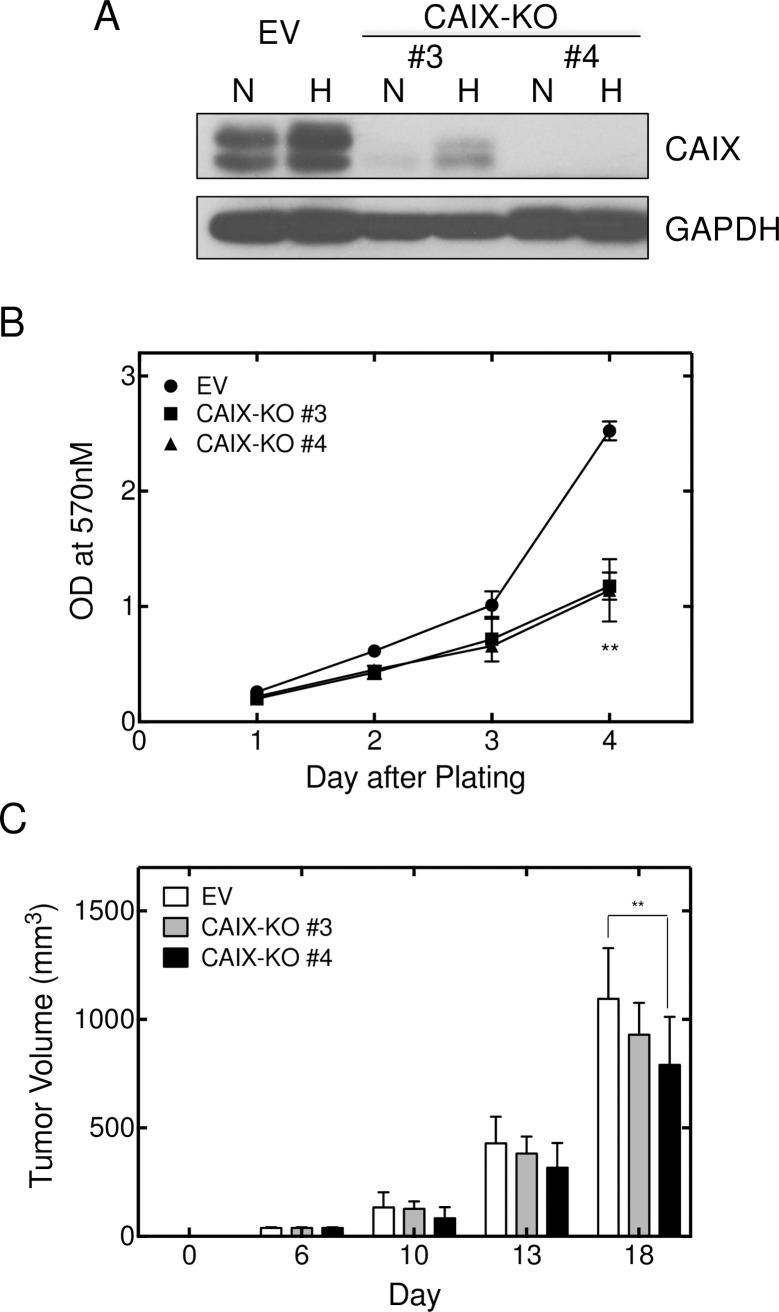 Fig 5