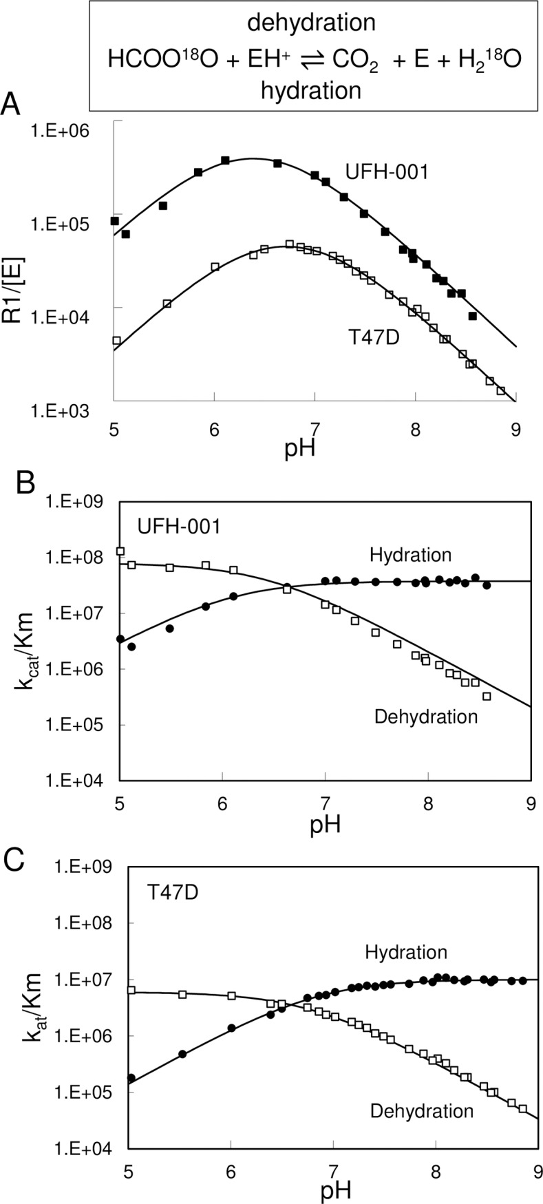 Fig 10