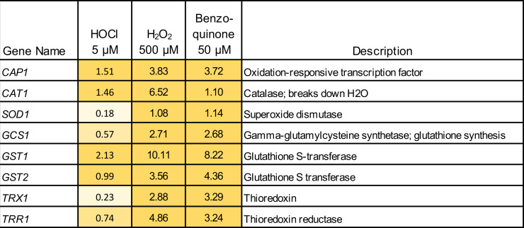 FIG 5