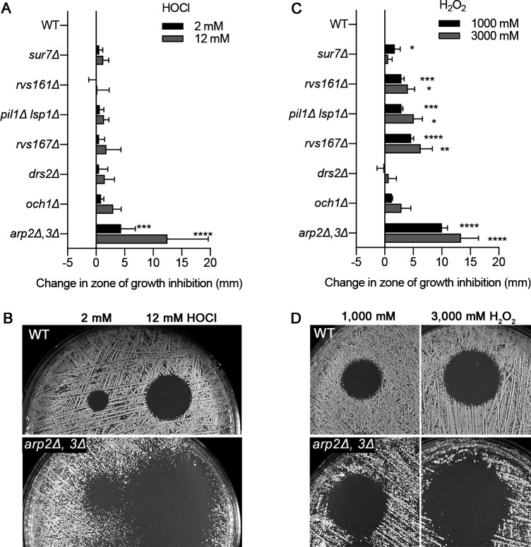 FIG 2