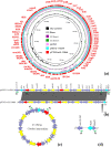FIG 3