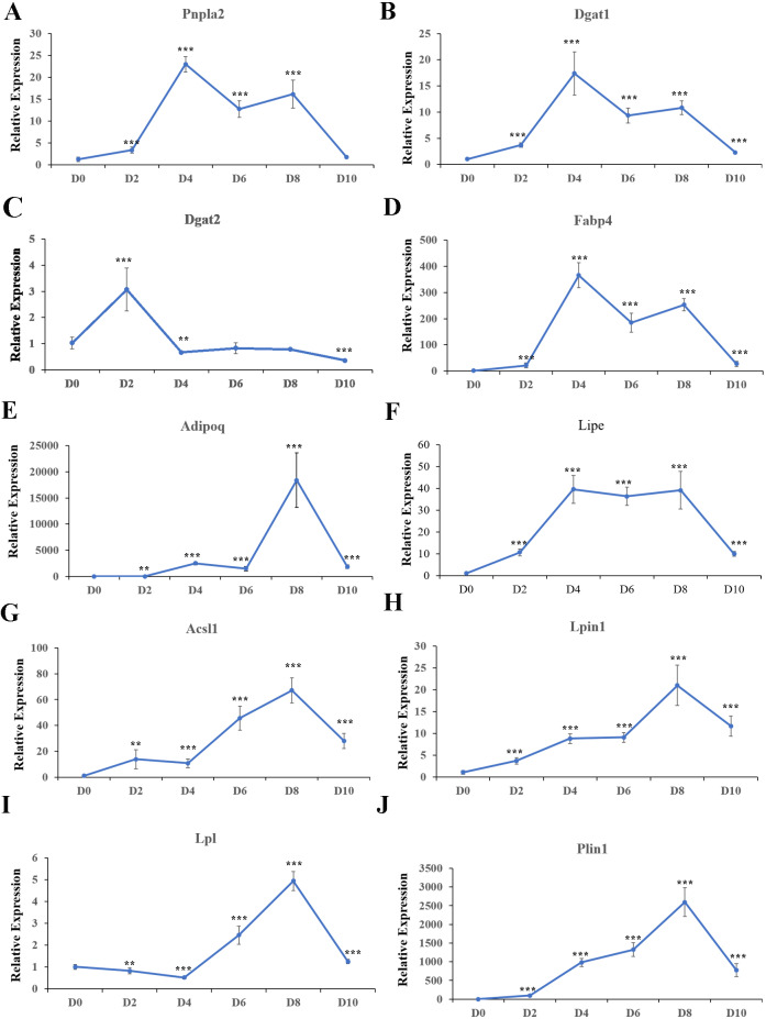 Figure 10