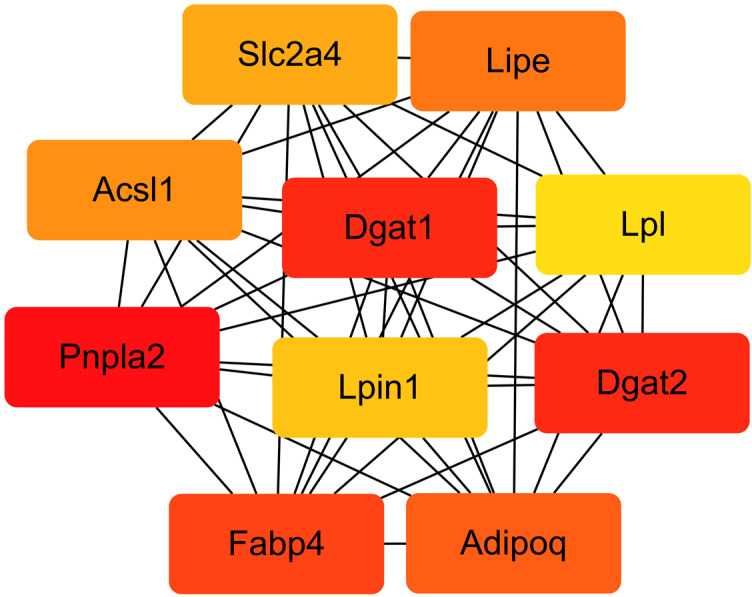 Figure 9