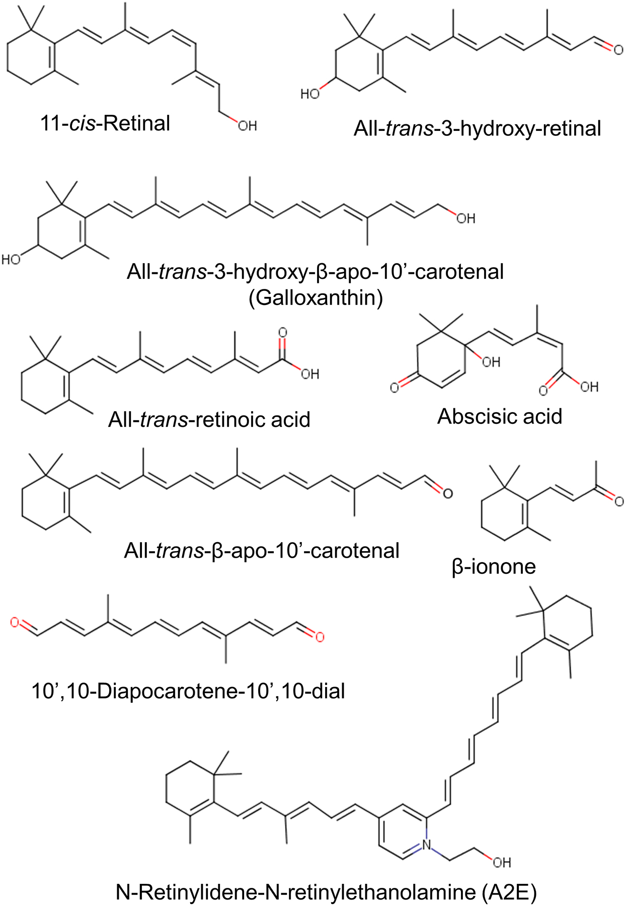 Figure 3.