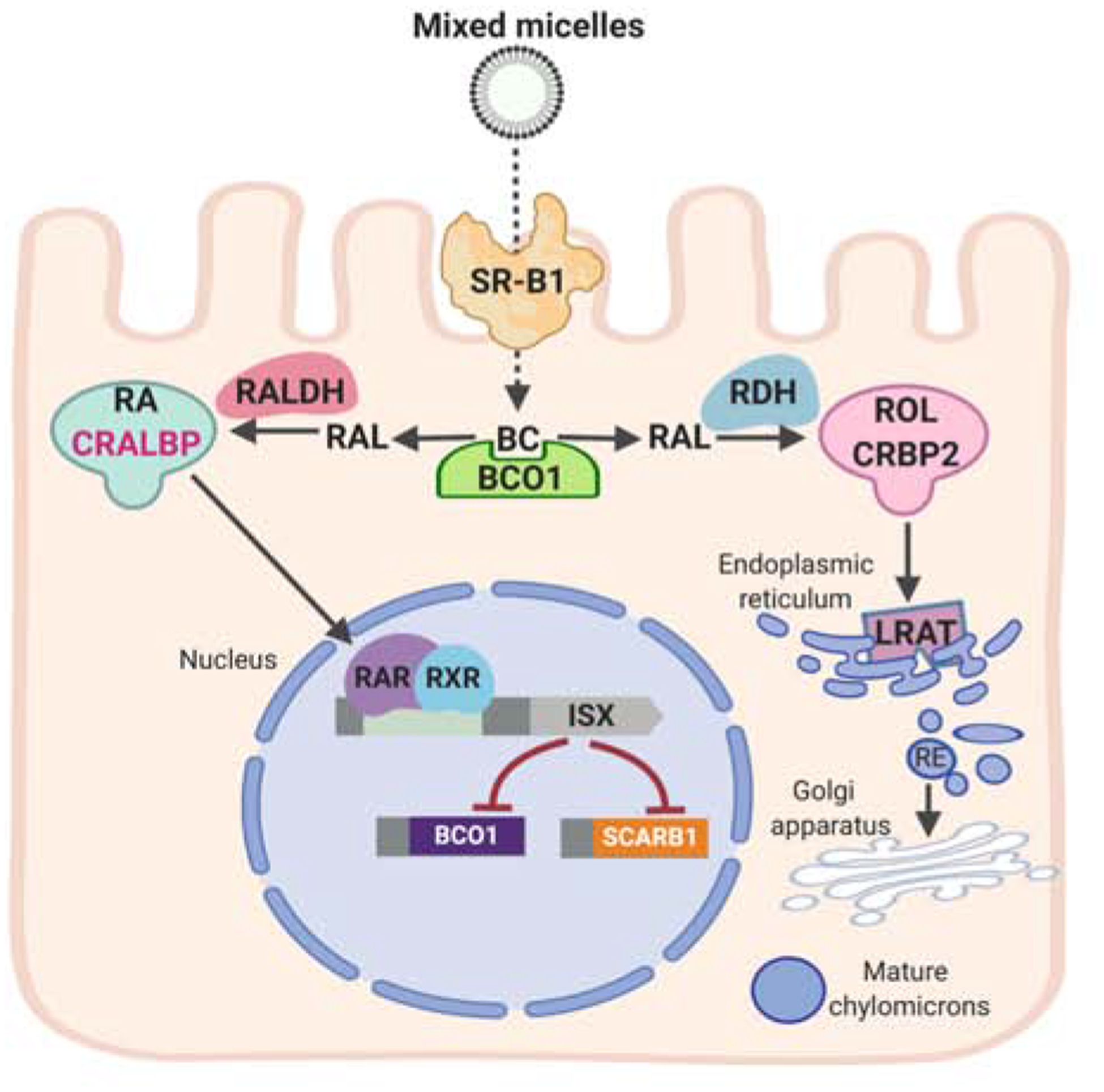 Figure 10.