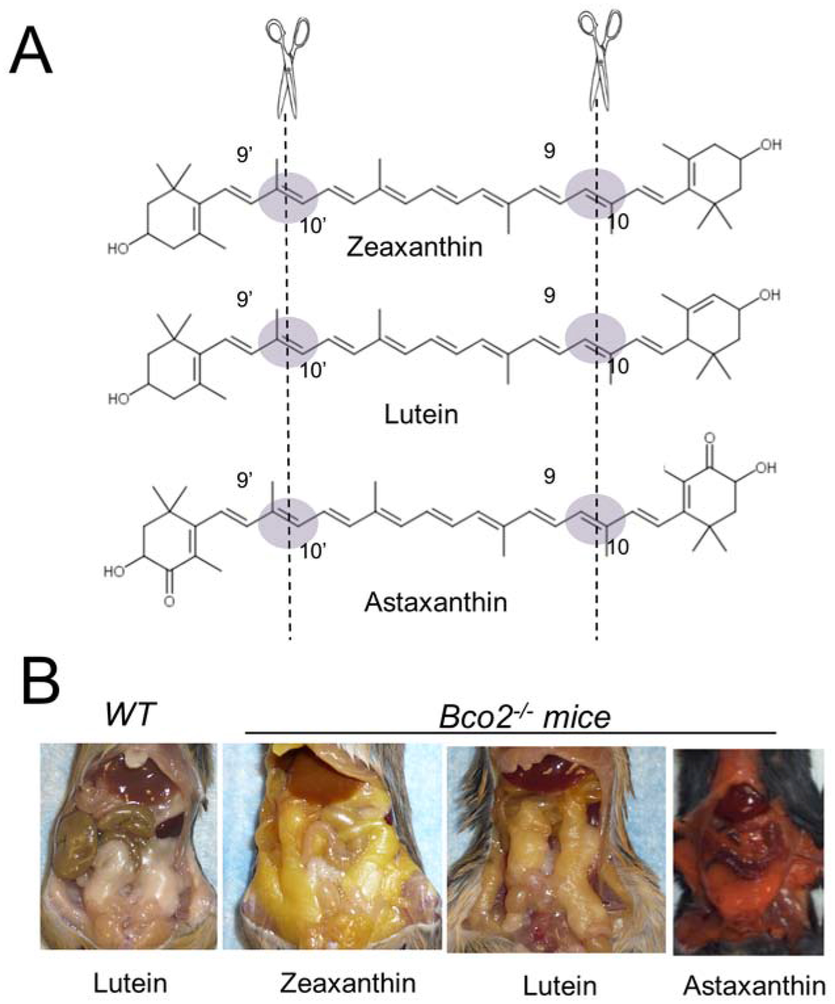 Figure 7.