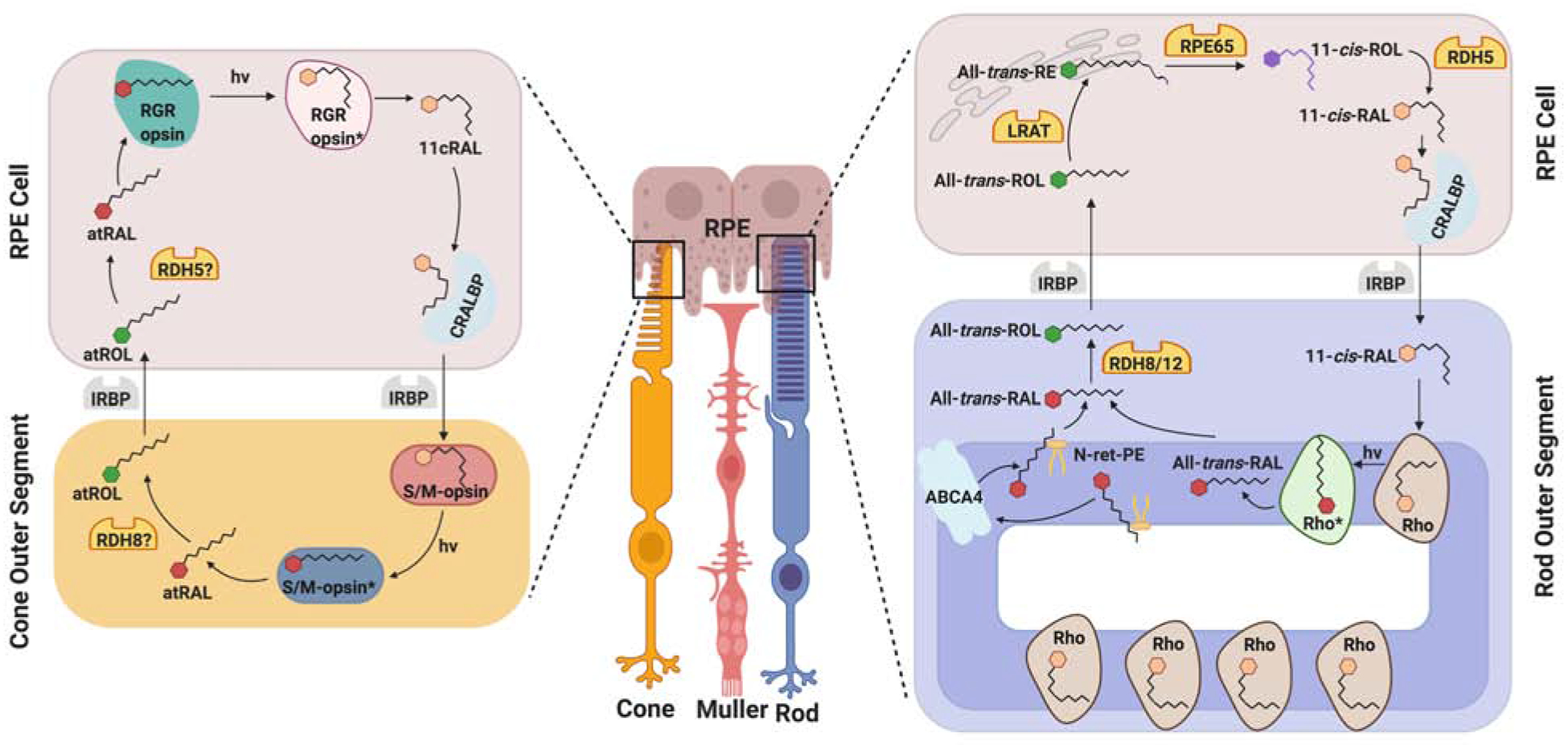 Figure 14.