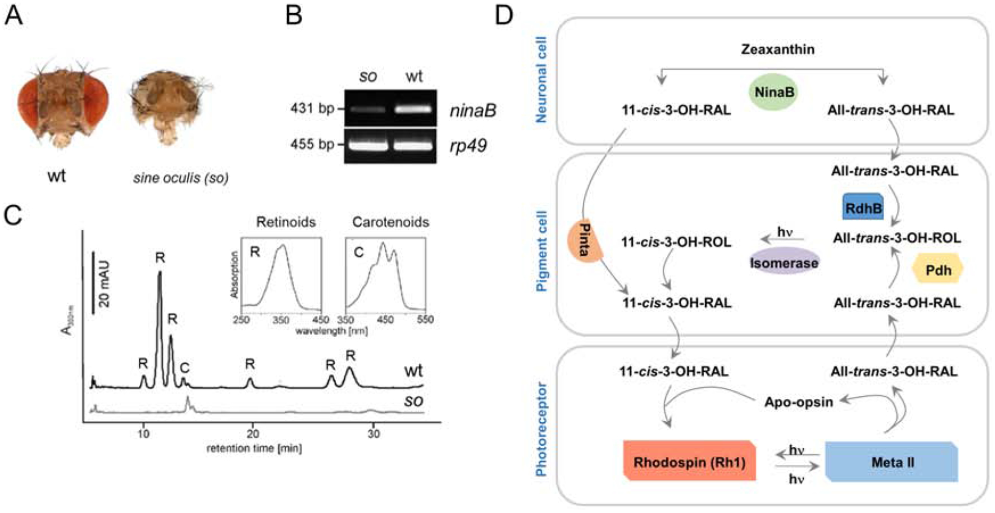 Figure 13.