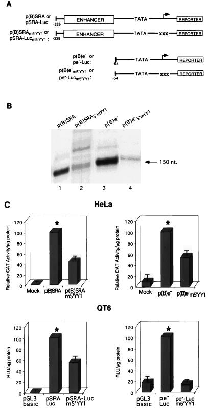 FIG. 6