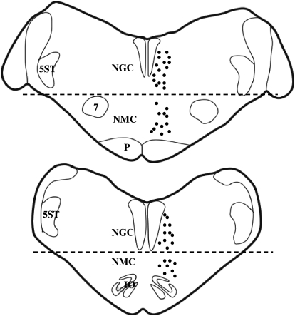 Fig. 6.