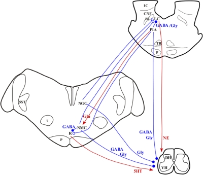 Fig. 11.