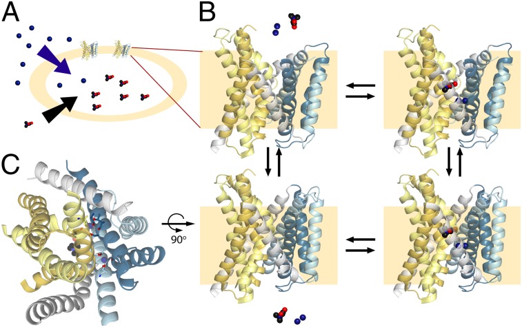 Fig. P1.