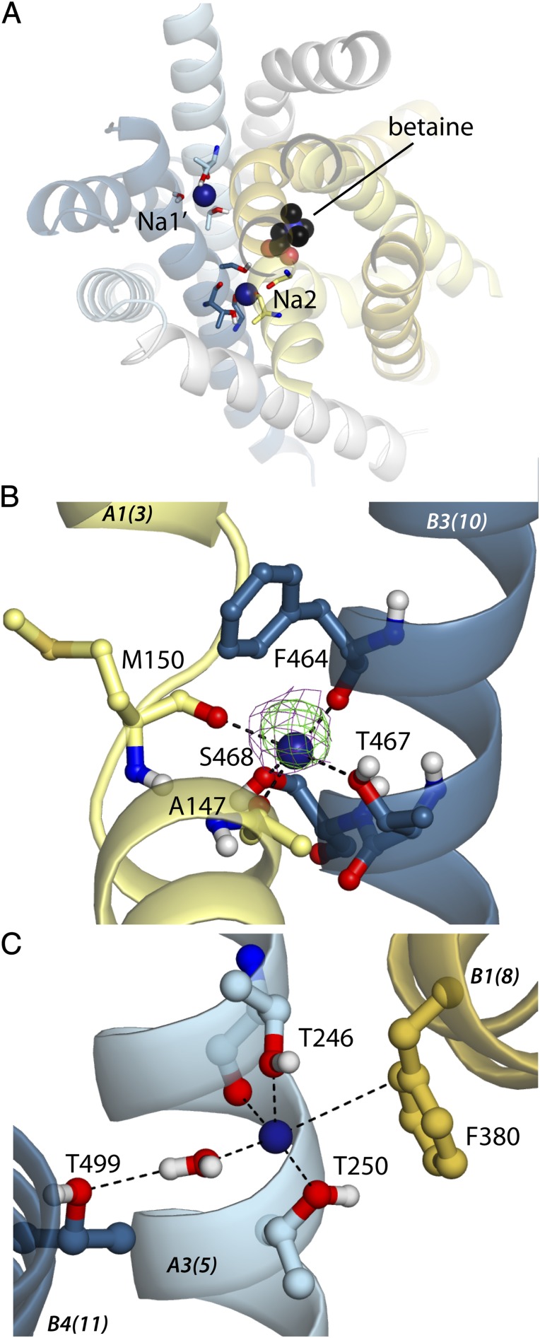 Fig. 3.