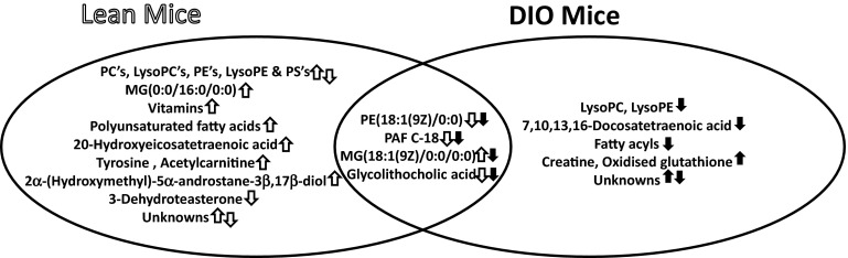 Fig. 5