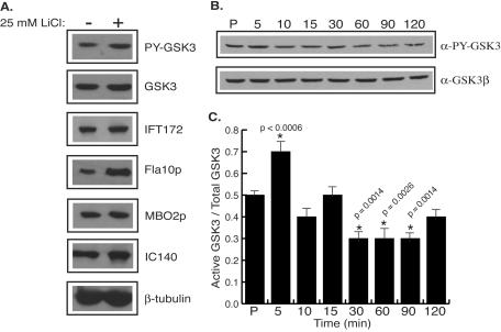 FIG. 8.