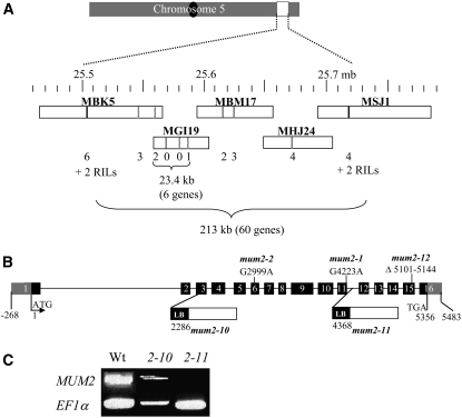 Figure 2.