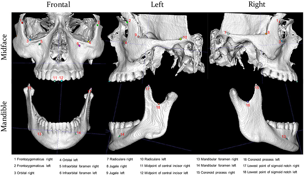 Fig. 4: