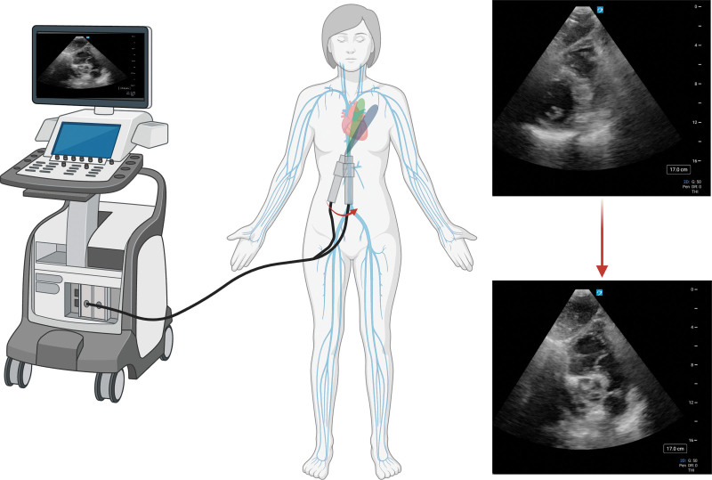 Figure 4.