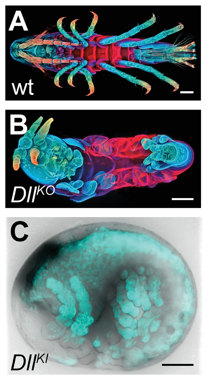 Figure 16.