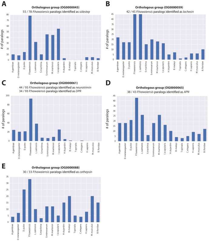 Figure 5—figure supplement 1.