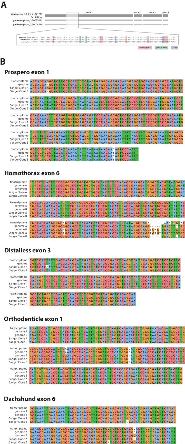 Figure 6—figure supplement 1.